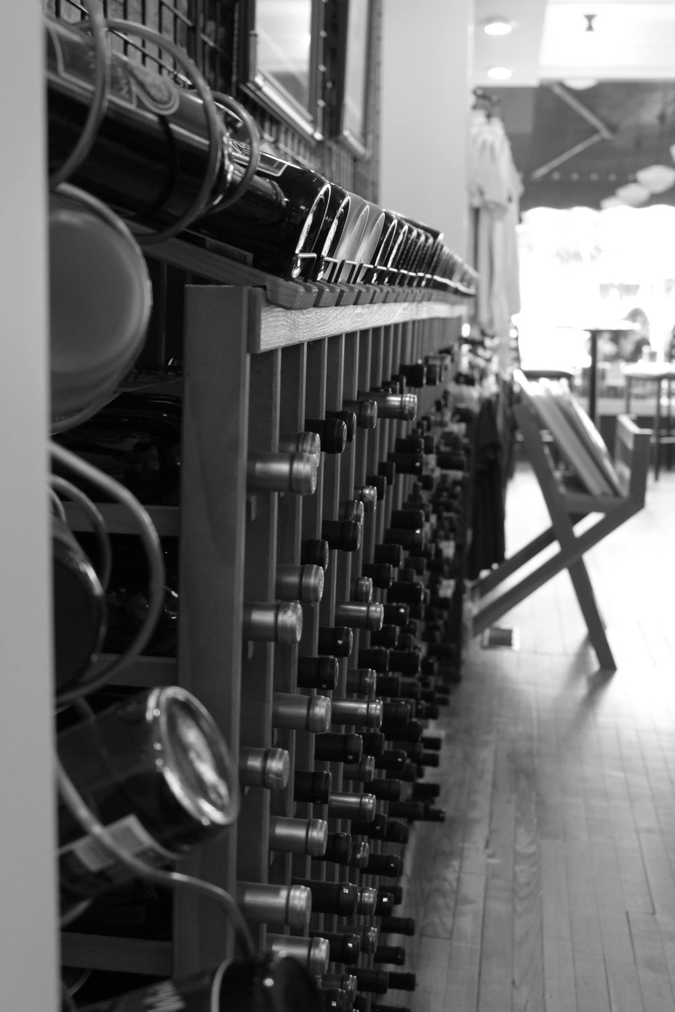 11907200_10204748955792963_1669396733104960300_o