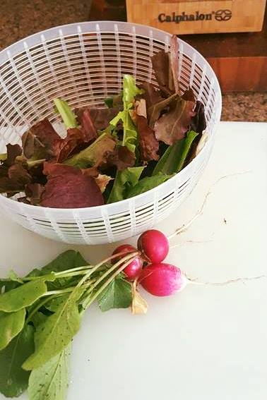 18423904_10209077549885110_8473435820184827905_n