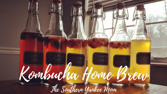 Kombucha Home Brew